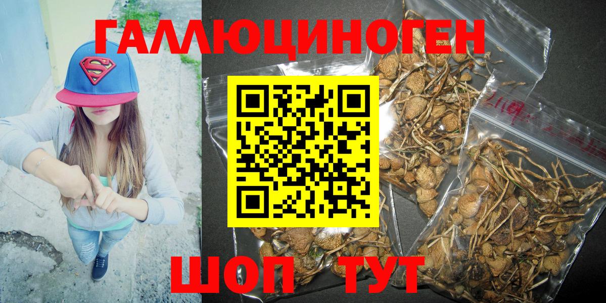 Галлюциногенные грибы MAGIC MUSHROOMS Хабаровск